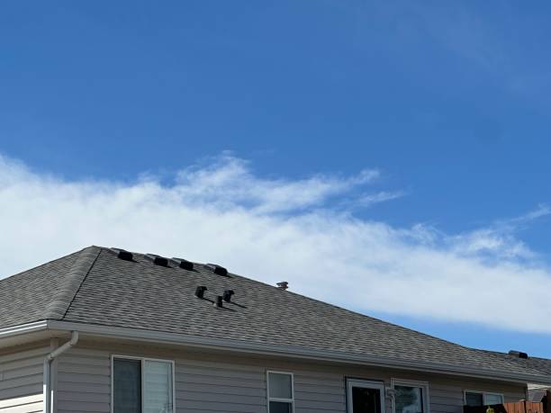 Best Hot Roofs  in Rolling Meadows, IL